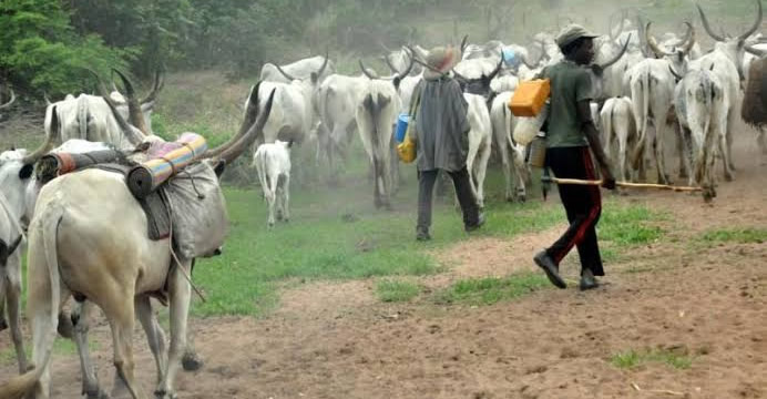 Herders invade Osun farm settlement