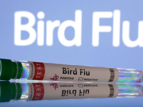 The United States Confirms First Case Of Bird Flu Without Animal Contacts