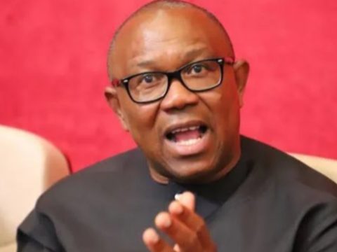 ‘I Have Never Suggested To Be Vice President To Anyone ‘ – Peter Obi