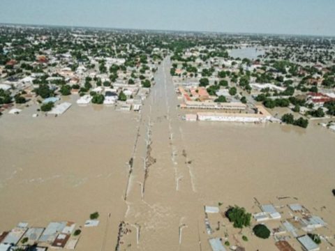 FAO Issues Serious Warning To Nigeria As Devastating Flood Rocks The Nation