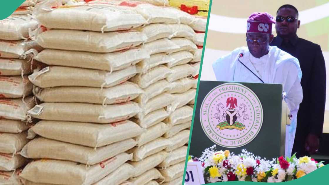 Nigeria’s Rice Intervention