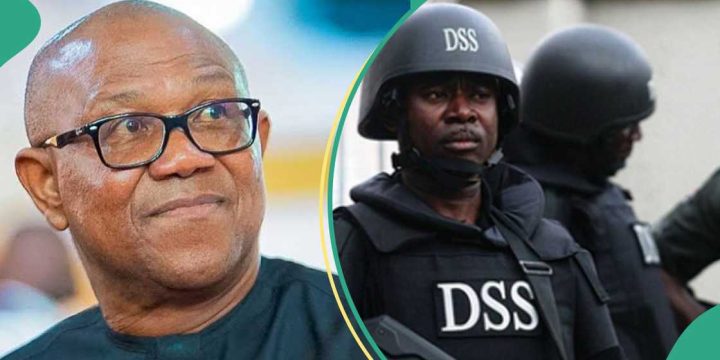 Peter Obi’s Arrest Debunked by Media Adviser