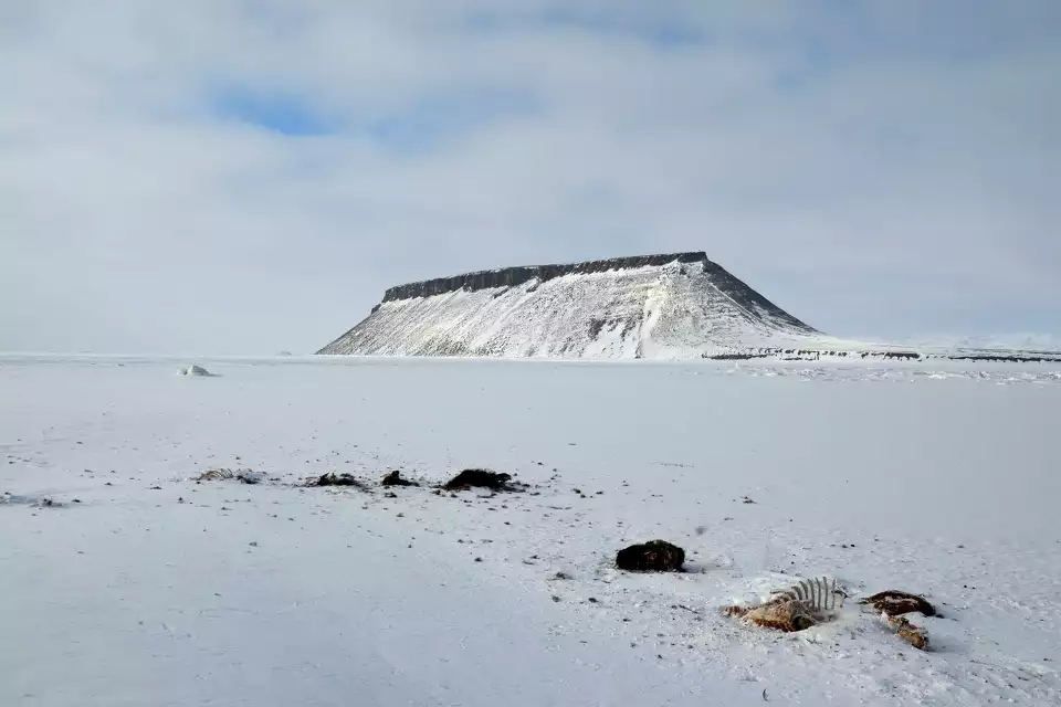 California Scientists Accidentally Find Nuclear Fever Dream in Arctic Snow