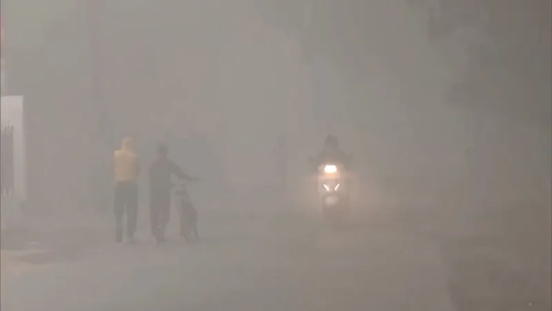 Fog disrupts life and travel in northern India: Delhi